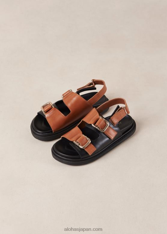 Alohas 黒い日焼け 42TFH14 女性 harper - 黒と茶色のレザーサンダル