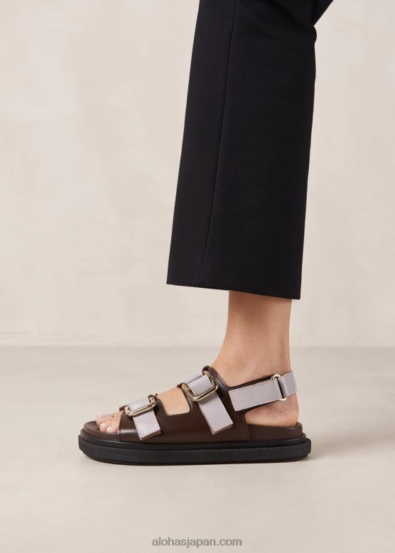 Alohas コーヒーブラウンモーブ 42TFH15 女性 harper - 茶色と紫のレザーサンダル