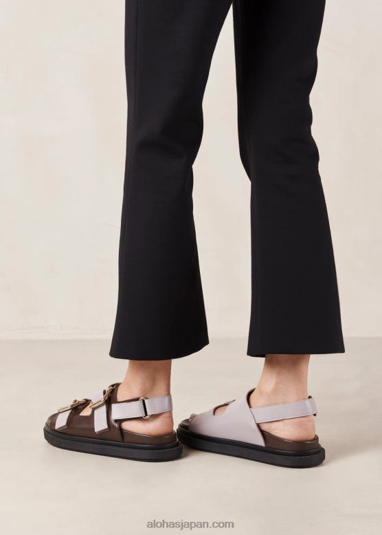 Alohas コーヒーブラウンモーブ 42TFH15 女性 harper - 茶色と紫のレザーサンダル